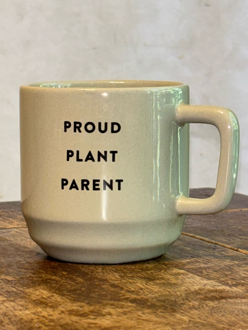 Proud Plant Parent Mug 3D Succulent Inside Horizon Group Green Earthenware